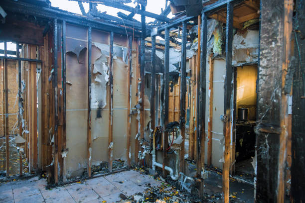 Professional Fire Damage Removal technician working in West Wood, UT